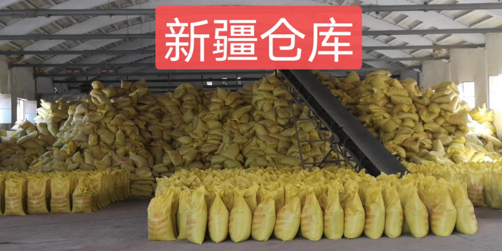 豸
