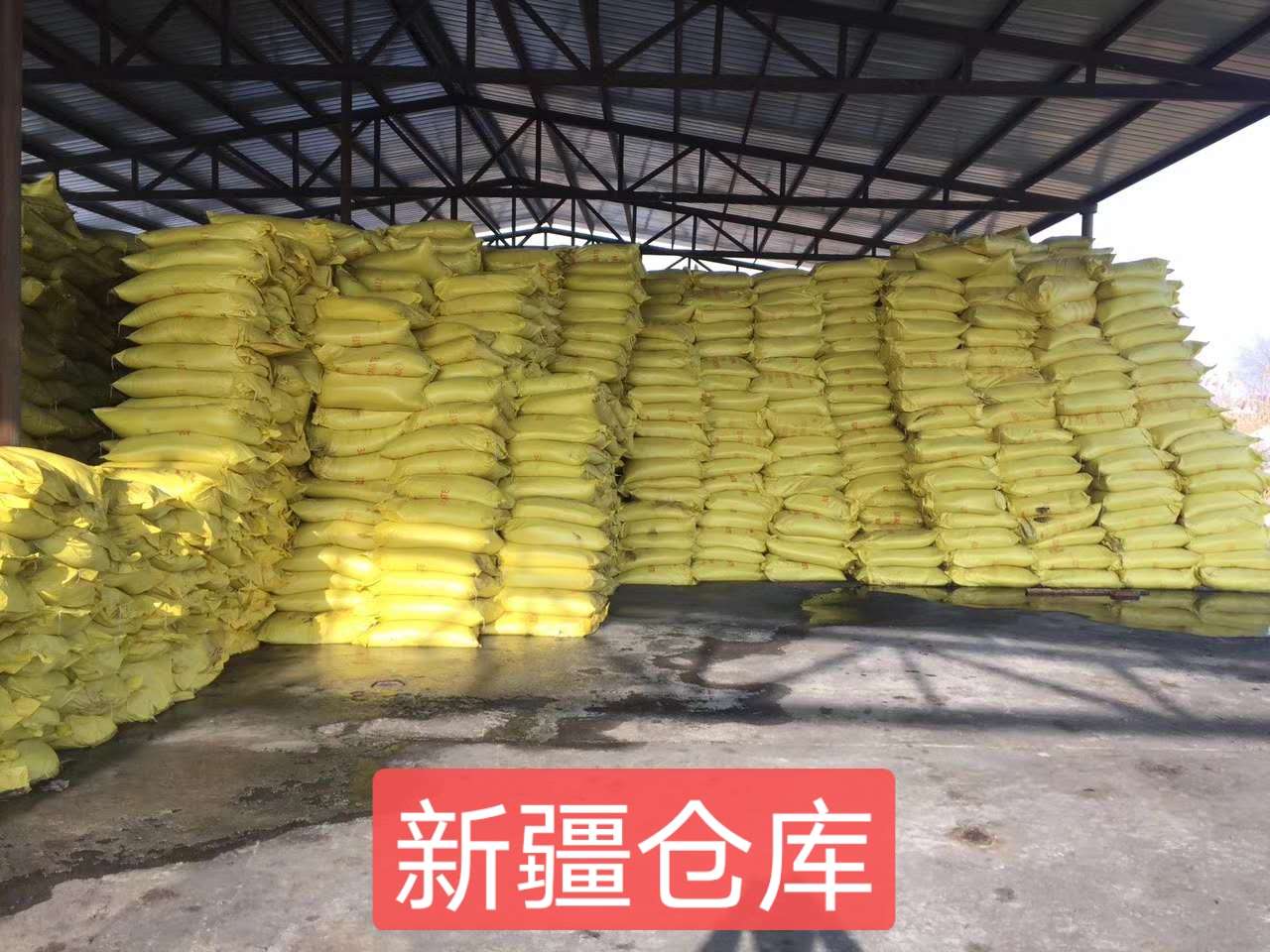 豸